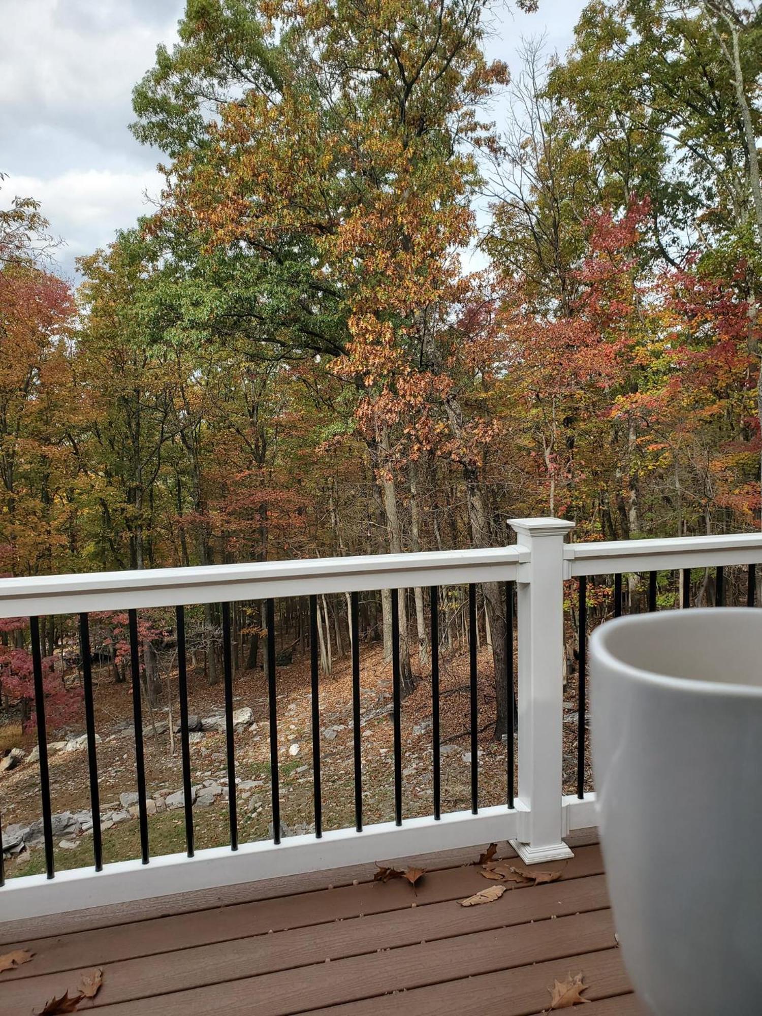 Family Friendly Mountain Cabin With Steam Shower Villa Harpers Ferry Exteriör bild